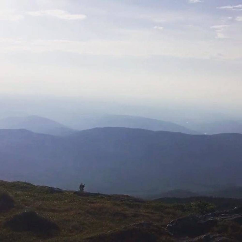 Meet your Posher, Josephus